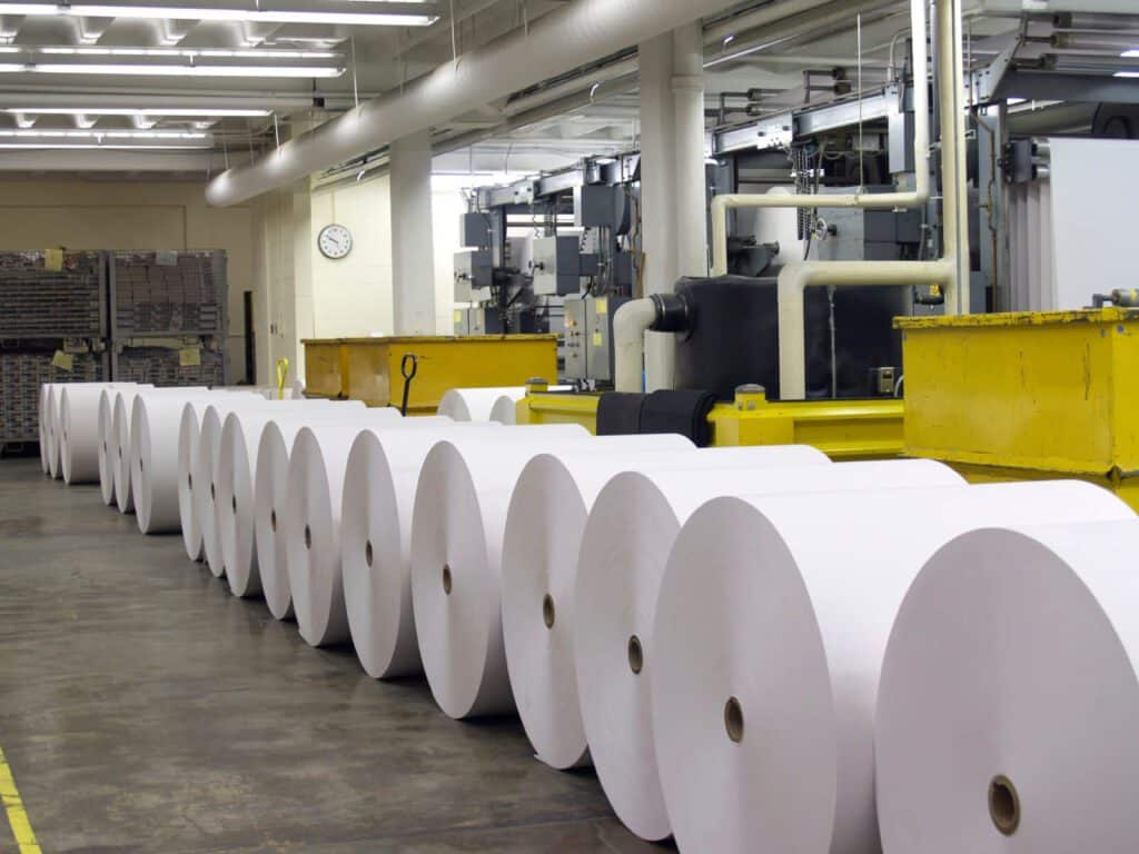 paper rolls lined up
